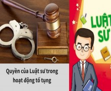 Luật sư hình sự giỏi uy tín tại huyện Châu Thành tỉnh Bến Tre
