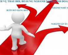 Dịch vụ bổ sung nghành nghề kinh doanh nước ngoài vào Việt Nam tại Bình Dương