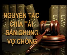 Tư vấn trình tự thủ tục ly hôn tại huyện Cần Giờ thành phố Hồ Chí Minh