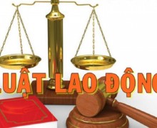 Luật sư tư vấn luật lao động tại thành phố Thủ Dầu Một Bình Dương