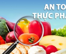 Hồ sơ xin giấy chứng nhận an toàn thực phẩm nhanh nhất ở thành phố Thuận An tỉnh Bình Dương