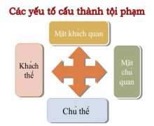 Thuê luật sư bào chữa án hình sự giỏi tại huyện Đạ Huoai tỉnh Lâm Đồng