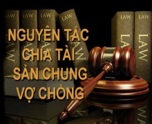 Tư vấn chia tài sản chung của vợ chồng sau ly hôn tại huyện Hớn Quản Bình Phước