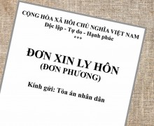 Tư vấn chia tài sản chung của vợ chồng sau ly hôn tại thành phố Hồ Chí Minh