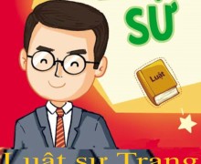 LUẬT SƯ CHUYÊN GIẢI QUYẾT TRANH CHẤP ĐẤT ĐAI VÀ NHÀ Ở TẠI THÀNH PHỐ VŨNG TÀU