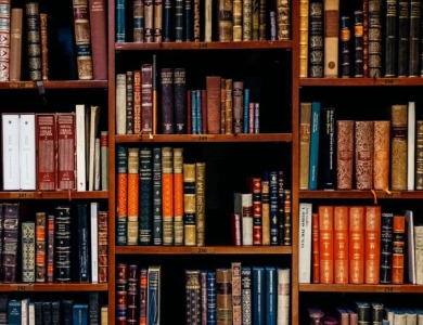 Dịch vụ luật sư tư vấn ly hôn chia tài sản dành quyền nuôi con tại huyện Bến Lức tỉnh Long An 