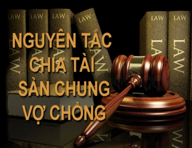 Luật sư tư vấn ly hôn chia tài sản dành quyền nuôi con tại Quận 11 thành phố Hồ Chí Minh