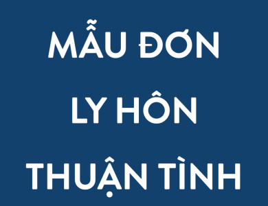Mẫu đơn ly hôn đơn phương tại Quận Bình Tân thành phố Hồ Chí Minh